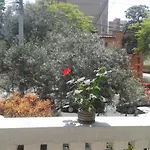 Dos De Mayo